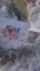 DSC_1765.thumb.JPG.9bb08bfb491469db500036c0b2e394ec.JPG