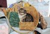 DSC_2428.thumb.JPG.db7923af4a69a1ddee748b57ea868cf7.JPG