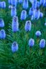 DSC_2491.thumb.jpg.2fb812f92fc1174ab49bf5a3a0420004.jpg