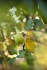 DSC_2507.thumb.jpg.0bab00b6d44b026e15ffb0aae02e0e4d.jpg