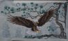Eagle8.thumb.JPG.05f0cd07aa05e168154b7debe2f24afd.JPG