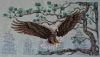 Eagle9.thumb.JPG.f2af0cdf3e9de4e5fc1a6fcbc905b893.JPG