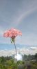 G_LV3tAB_Xg.thumb.jpg.a4dcc3db48430b847c0e693396d437f3.jpg