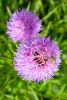 IMG-20190804-WA0016.thumb.jpg.772be1578499f9ac908cc9d5564d63c7.jpg