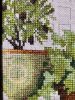 IMG-3517.thumb.jpg.b2bc2d98f0905b8360d970e51abaf10f.jpg