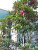 IMG_20190720_162132.thumb.jpg.a691b6e2feef9dc0269ad955e67cb92f.jpg
