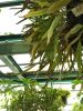 IMG_20190720_163250.thumb.jpg.97c153efc5dc18d642efc393d1dd74f4.jpg