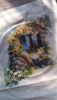 IMG_20190722_173006.thumb.jpg.0eefaf69245711e49ab0ce4702e28d27.jpg