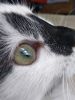 IMG_20190728_124909.thumb.jpg.c8f44b778bfceb4f97b197aa1abfeee7.jpg