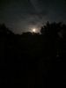 IMG_20190815_210021.thumb.jpg.1948bb2c4694e00cb68825a45459f091.jpg