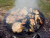 IMG_20190825_133453.jpg