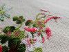 IMG_20190831_094417.thumb.jpg.7068999751a3fb3efce4017ad1bc037c.jpg