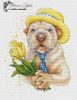 JAfaLb416pk.thumb.jpg.5ac024faa2e1418d9018739bf5340718.jpg