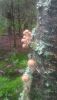 P_20190718_152848.thumb.jpg.c48b281ea97d393d3c5bfbfb004a7585.jpg