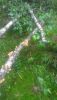 P_20190718_160606.thumb.jpg.203089f5cee025c13445e8cef72fdf31.jpg