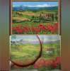 image.thumb.png.008255a70f4a7cae155792db3ca47287.png