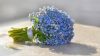 image_1564936385734.thumb.jpg.aa08cc891f7a6a19e7ab0b8a46d85538.jpg