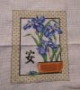 iris1608.thumb.jpg.c3e6e50ab748476b77fb85c6eb7f63e7.jpg
