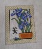 iris1708.thumb.jpg.7b65e5c8ef69bb733aaf49b52e948c45.jpg