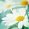 otkrytka_s_dnem_rozhdeniya_s_romashkami_4_06050739-600x600.thumb.jpg.0f9e5ff420b8fc0afccc165bd8e57bfe.jpg