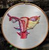 uterus-11-5970a5e52ae06__880.jpg