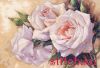 Dimensions 35247, Белые розы (White Roses)