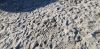 1479230376_.thumb.jpg.ce5b1142f5498d5fdd8bd7fdcdbf6fc5.jpg