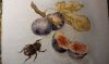 20190218_230259.thumb.jpg.7c7172eb2a71c446bba541dd542d7c51.jpg