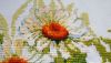 20190803_060314.thumb.jpg.87c921aa3047da8cdae5f2fc38336cc4.jpg