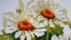 20190803_060318.thumb.jpg.10fe86c9ec02de8ba5766fd25f864a9c.jpg