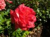 20190805_092827.thumb.jpg.789b806b8fc4f27d2ed23b5a71ae313f.jpg