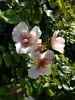 20190805_093924.thumb.jpg.d9249faf5d77d40e0a89680ff94f608e.jpg