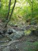 20190808_164004.thumb.jpg.8298f847817e2cb8e53cad13f0f54dae.jpg