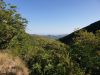 20190808_171250.thumb.jpg.37fcc6380fa7ec6814337593f4c1b10b.jpg