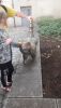 20190811_202613.thumb.jpg.aac3b8040fec7bec7cbc724356550308.jpg