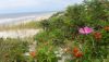 20190812_125417.thumb.jpg.c418019abb4daeccb21416c4bd15af60.jpg