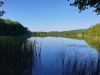 20190813_074836.thumb.jpg.50bb862ab9096e44a6d2ba6221b14575.jpg