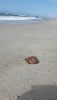 20190813_150403.thumb.jpg.d2d31f8ebbfc773152fc5cae42b3ced7.jpg