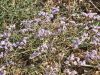 20190815_164002.thumb.jpg.8ed172daf99caa4f92b3f70177b12a87.jpg