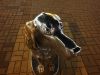 20190817_210900.thumb.jpg.503e4051edeb83b6ec20d080ab79c01d.jpg