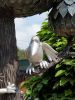 20190818_124107.thumb.jpg.7e7f1cb7c1ad3f766cd6c38c726adddb.jpg