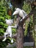 20190818_124200.thumb.jpg.67065d520e594f22db385e2aa2a27f99.jpg