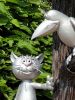 20190818_124212.thumb.jpg.96d389c6390996c28f81c0884eac60d3.jpg