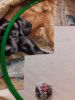 20190827_221412.thumb.jpg.73f820f06af5bfac9bfa94bcc3f49cf6.jpg