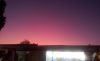 20190828_192706.thumb.jpg.a6e7d2d78c96062d694197dce96d3366.jpg