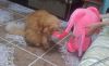 20190829_222509.thumb.jpg.881c82bd2d66fe6a6a6c217b736f9aad.jpg
