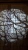 20190903_221432.thumb.jpg.2dc98401a582f75efaa4a8ce122177a6.jpg