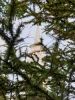 20190907_184752.thumb.jpg.6dedc2b6910c1e4baa9fb689c928f661.jpg