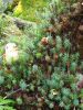20190908_110342.thumb.jpg.ba5181201ee3225b0de3dc3048097b0a.jpg