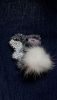 20190908_133100.thumb.jpg.2f495e44308f54ced46b5adb3029ec8c.jpg